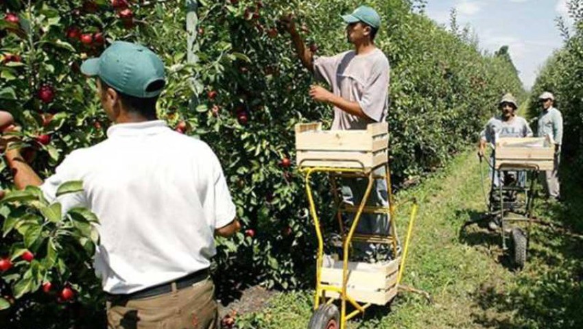 Oran Retour à l’agriculture