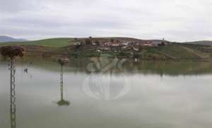 Algérie (Mila) -  recul du nombre et des espèces d’oiseaux migrateurs dans les zones humides: Dénombrement Janvier 2024