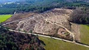 Planète (France/Europe) - Ils ont planté une forêt de 3.000 arbres, et «personne n’a le droit d’y toucher» pendant un siècle