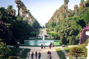 El Hamma (Alger) - Jardin d’essais du Hamma: 2,4 millions de visiteurs en 2023
