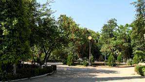 Algérie (Blida) -  Création de 12 espaces verts en 2023