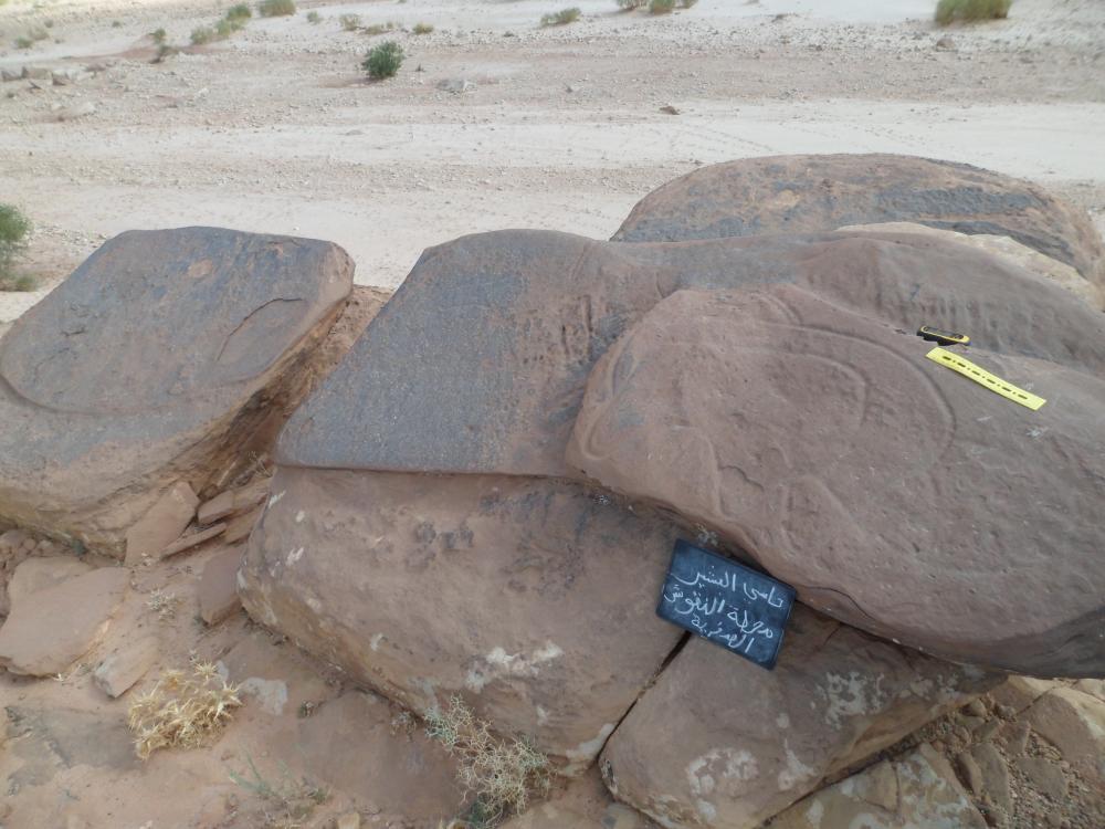 محطة النقوش الحجرية (حاسي البشير)