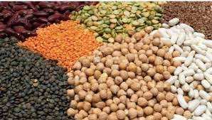 Algérie - Secteur agricole: Les fermes pilotes intégrées dans le processus de production