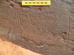 لغرانيق 2 بلدية تيوت