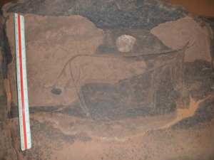 محطة واد لبريج بلدية عين الصفراء