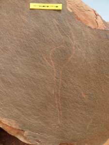 محطة النقوش الصخرية كدية عبد الحق