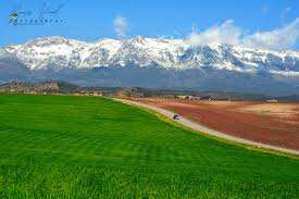 Algérie - Poursuite des chutes de neige sur les reliefs dépassant les 1.000 mètres d'altitude