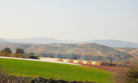 Algérie - Recensement général de l'agriculture: lancement dimanche d'une opération pilote dans 6 wilayas