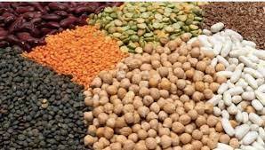 Algérie - Secteur agricole: Les fermes pilotes intégrées dans le processus de production