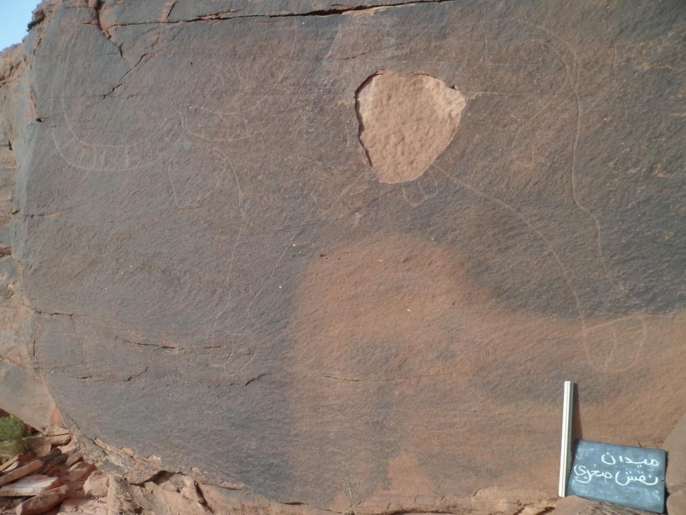 محطة ميدان بلدية تيوت