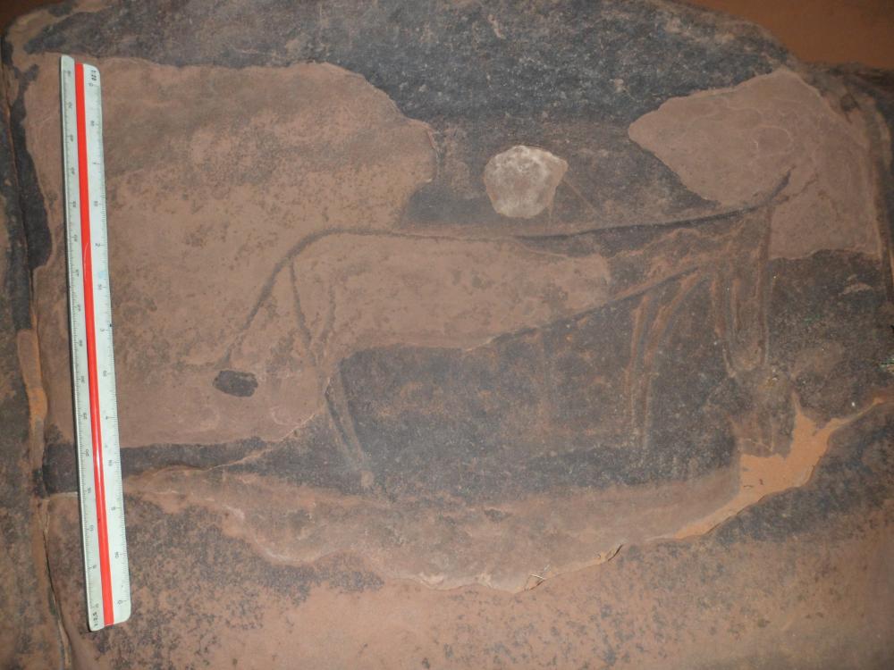 محطة واد لبريج بلدية عين الصفراء