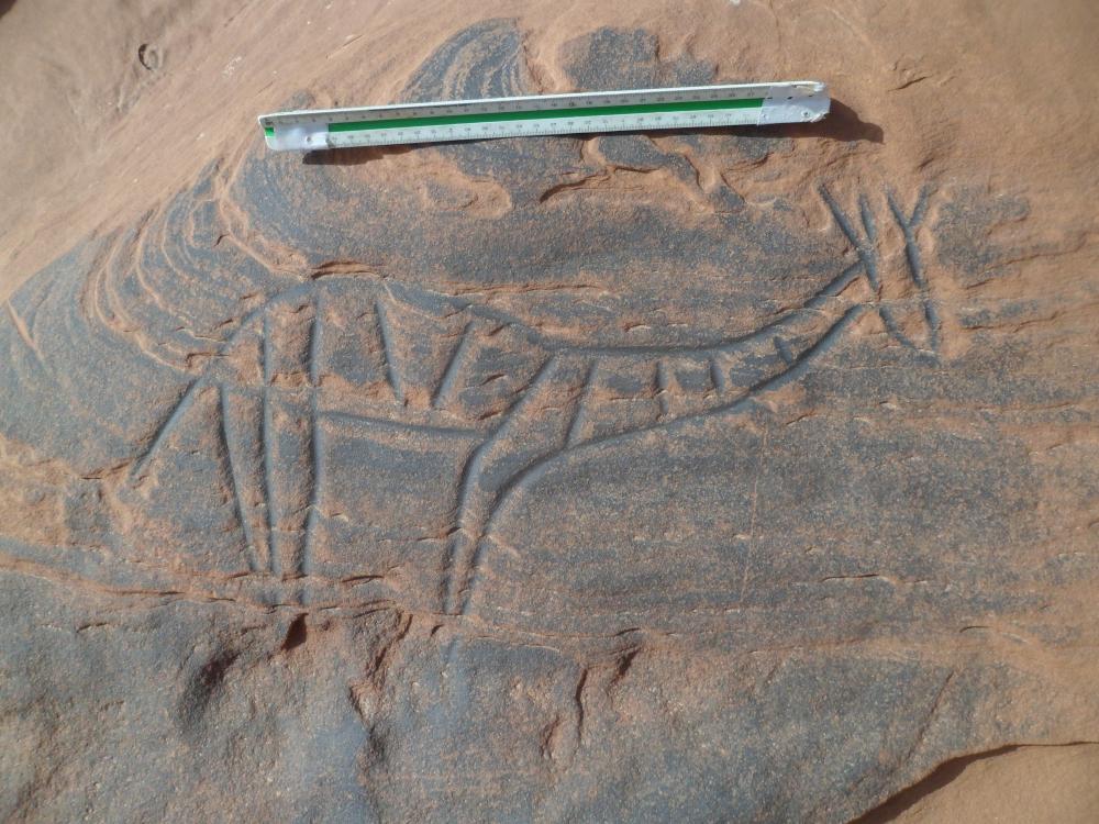 نقش صخري شعبة بوقرن 4