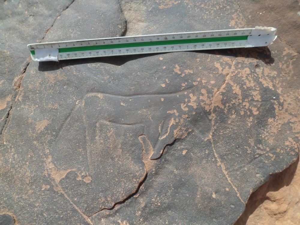 محطة النقوش الصخرية شعبة بوقرن 5