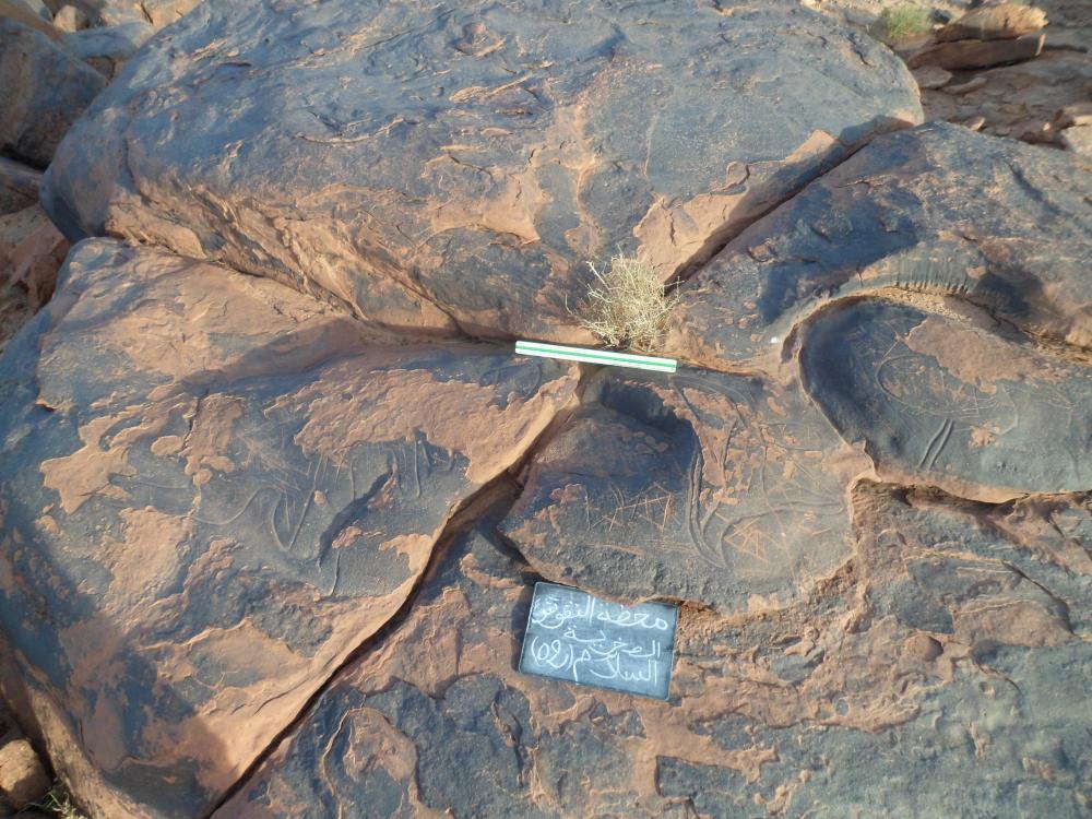 محطة النقوش الصخرية السلام 2