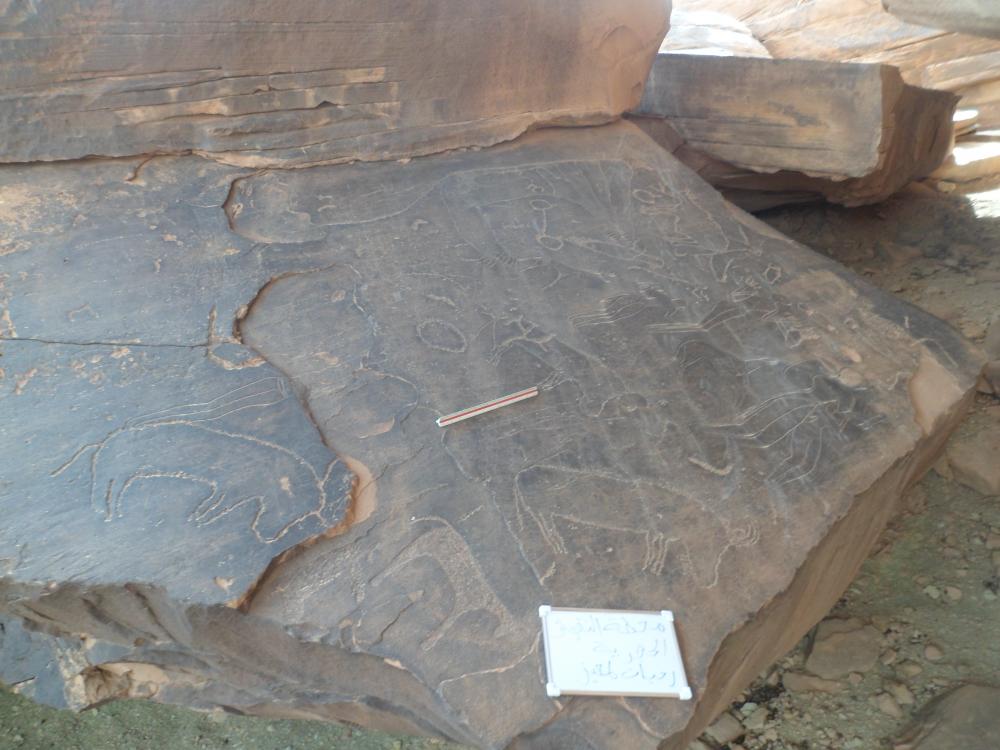 نقش صخري الرويسات بلدية مغرار