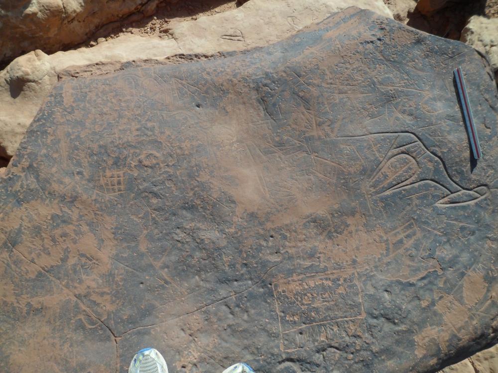 محطة النقوش الصخرية أم البرايم 2 (مغرار التحتاني )