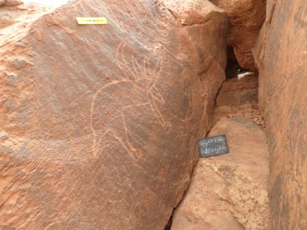 نقش صخري بلغراد