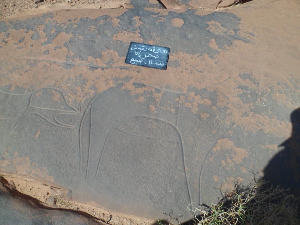 محطة النقوش الصخرية شمال الصبيع ( مغرار التحتاني )