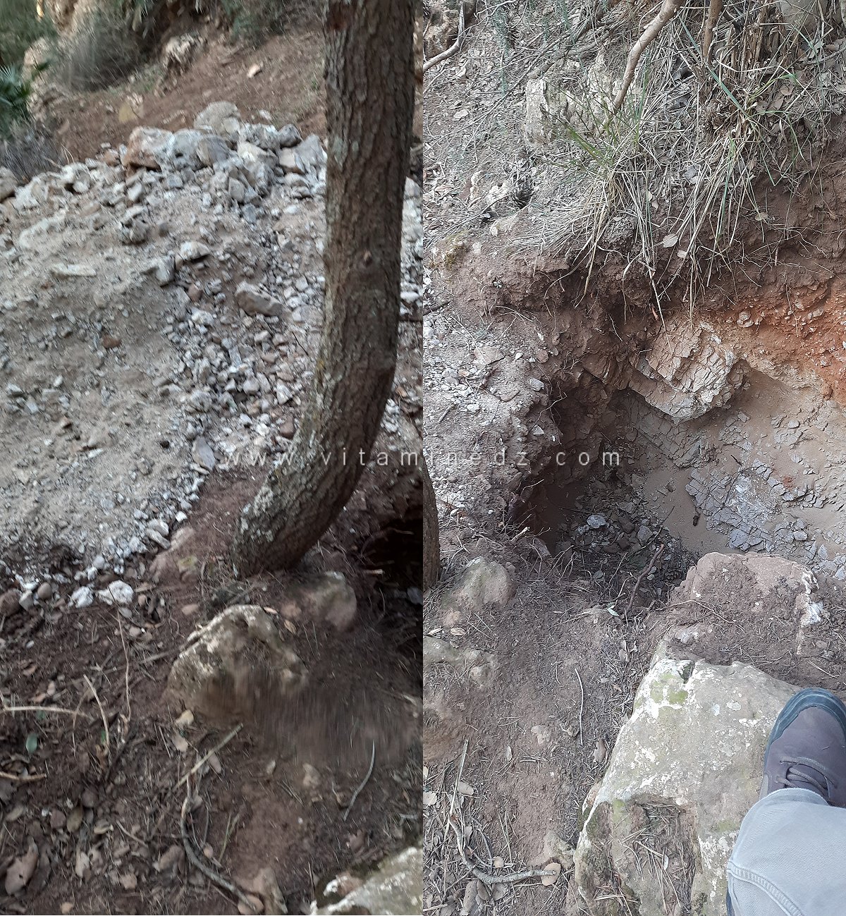 ظاهرة البحث عن الكنوز في الجزائر: تدمير يطال التراث