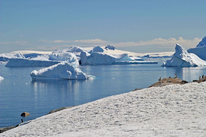 Planète - La banquise antarctique au plus bas pour la troisième année de suite