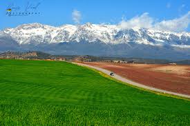 Algérie - Poursuite des chutes de neige sur les reliefs dépassant les 1.000 mètres d'altitude