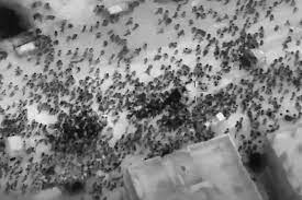 Planète (Palestine/Asie) -  Guerre Israël-Hamas. Gaza: émoi international après une bousculade mortelle à l’arrivée d’un convoi humanitaire