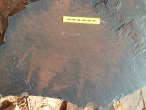 محطة النقوش الصخرية واد بومباتا بلدية صفيصيفة