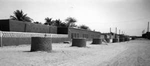 La foggara en Algérie : un patrimoine hydraulique mondial