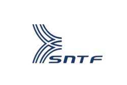 Dréan (El Tarf) -  Réfection du rail