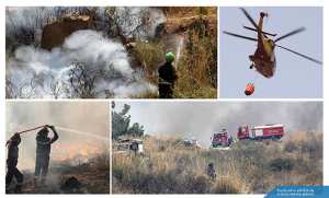 Algérie (Jijel) - Présentation du rapport sur le soutien technique à la gestion durable des forêts pour lutter contre les feux de forêts