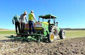 Algérie - Pluviométrie: Les agriculteurs retrouvent le moral