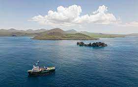 Planète (Pacifique)  -  Greenpeace réclame la création de la première réserve marine mondiale