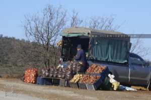 Différence entre pomme de terre rouge et blanche