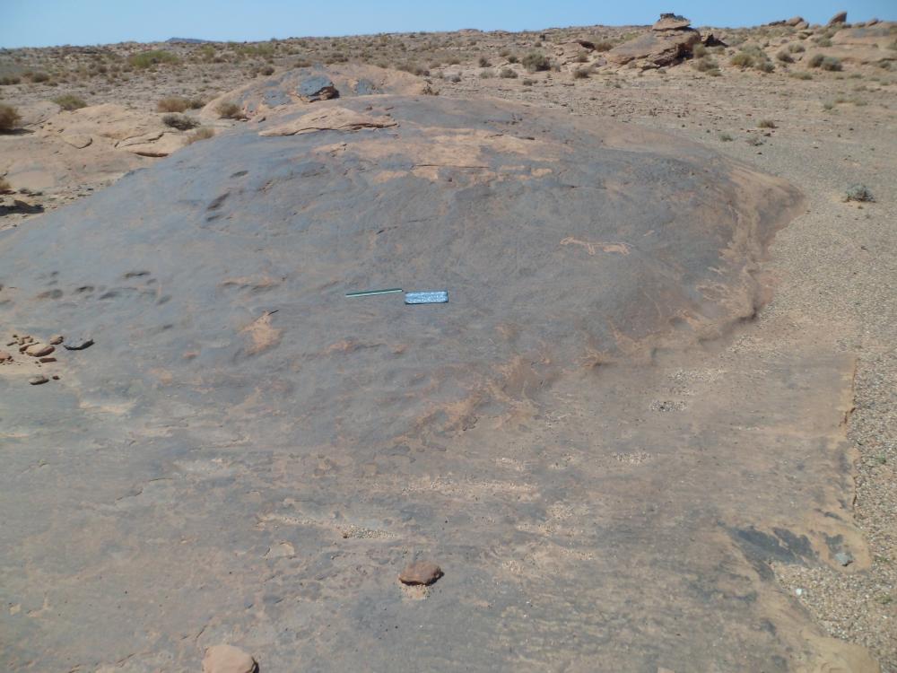 محطة النقوش الصخرية سيدي ابراهيم 2 بلدية مغرار