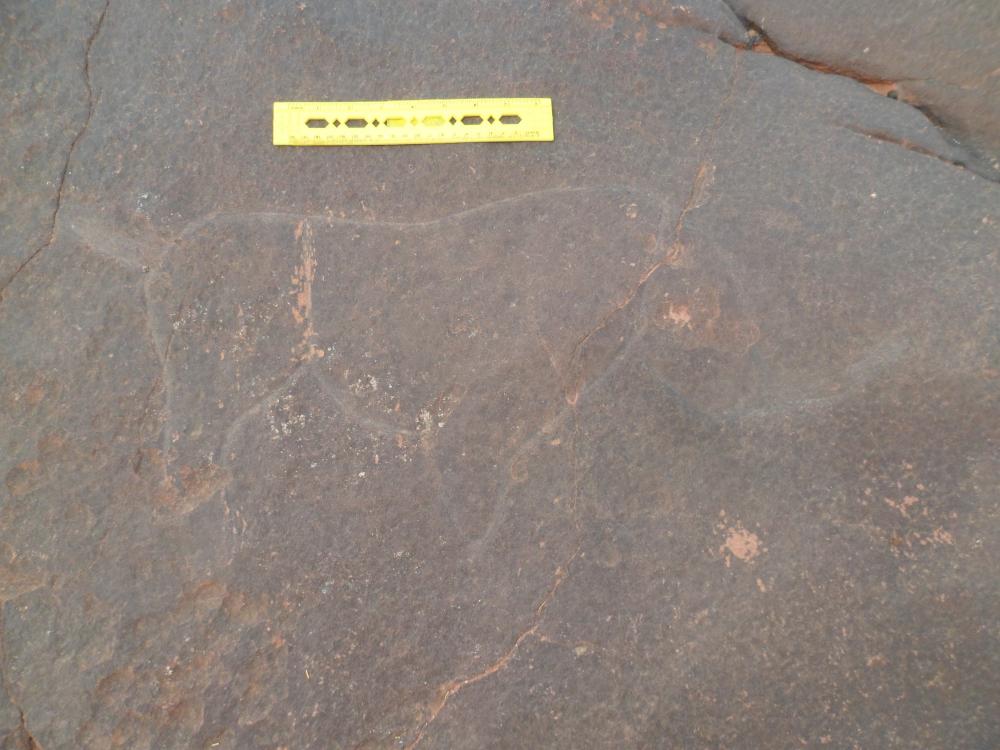 محطة بوطاهير الحاسي الابيض