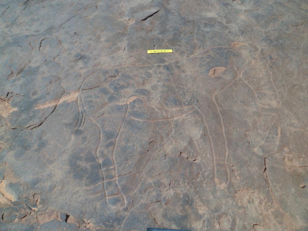 محطة النقوش الصخرية سيدي ابراهيم1( بلدية مغرار )