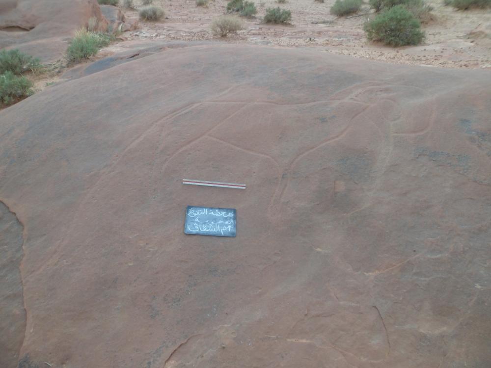 محطة النقوش الصخرية أم الشقاق بلدية الصفيصيفة