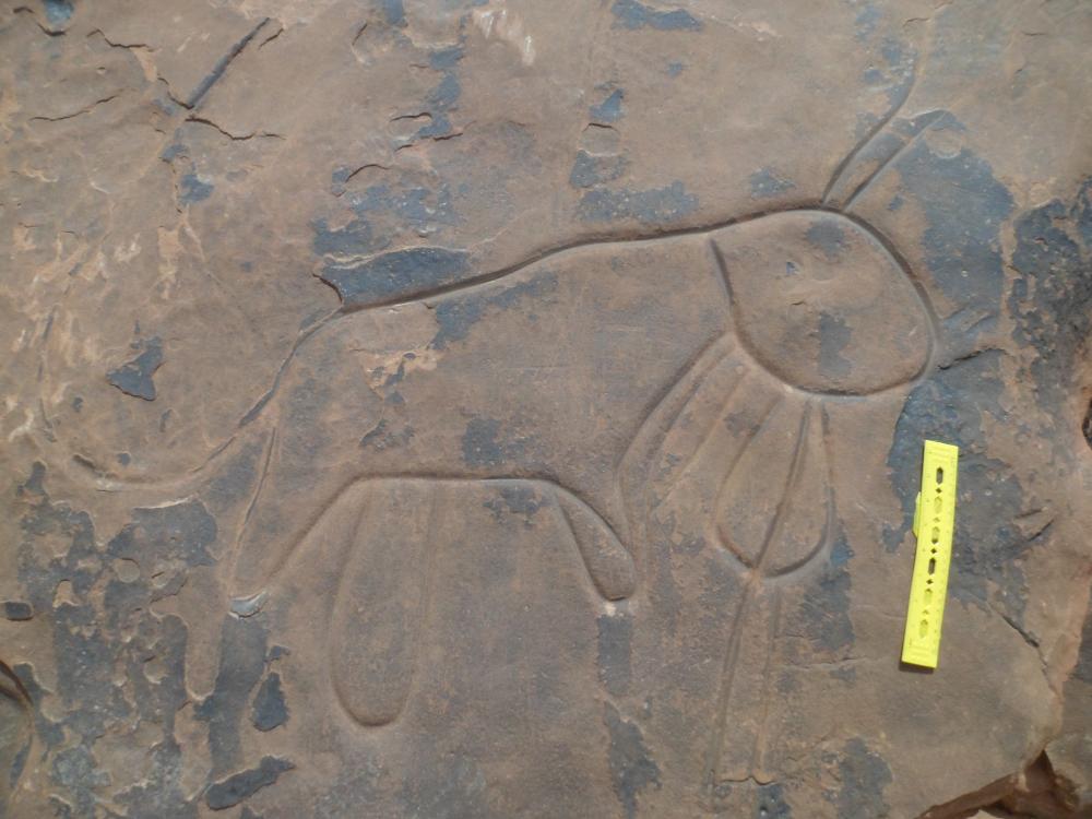 محطة النقوش الصخرية فرطاسة