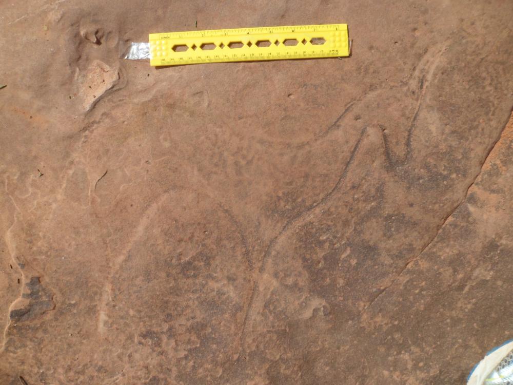 محطة النقوش الصخرية حيرش بلدية صفيصيفة