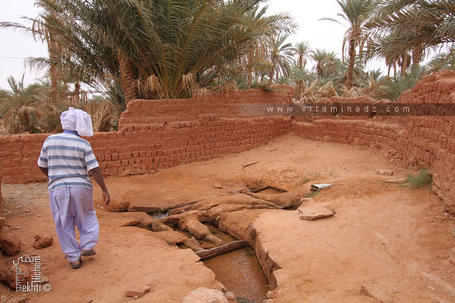 REGIME ECONOMIQUE  ET STRUCTURE DU POUVOIR :  LE SYSTÈME DES FOGGARA DU TOUAT