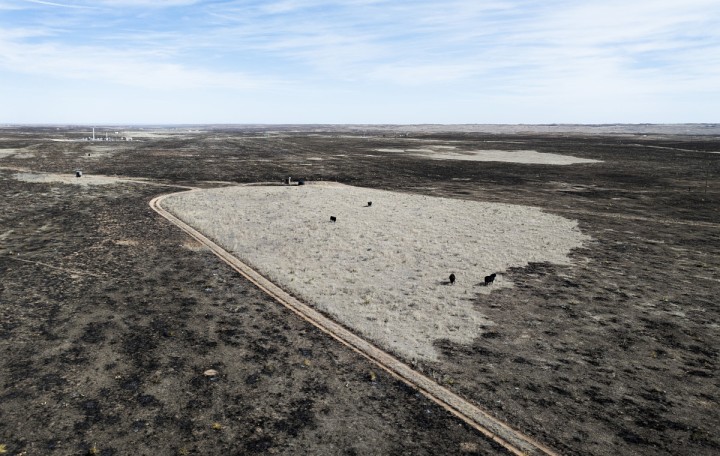 Planète (Etats-Unis/Amérique du Nord) - Le gigantesque incendie au Texas est dû au changement climatique