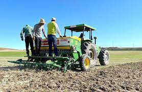 Algérie - Pluviométrie: Les agriculteurs retrouvent le moral