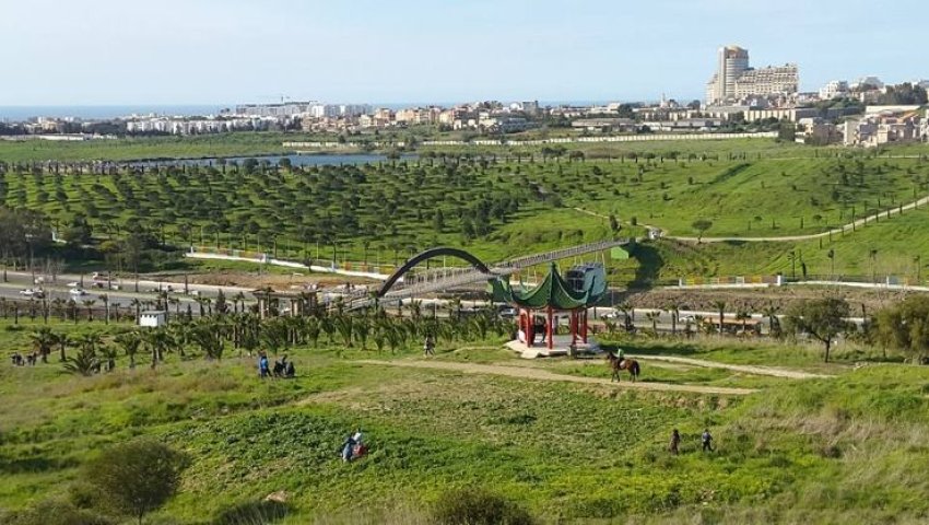 Planète (Algérie/Afrique) - Association d'amitié algéro-chinoise:  Plantation de 500 arbustes dans le Parc des Grands Vents