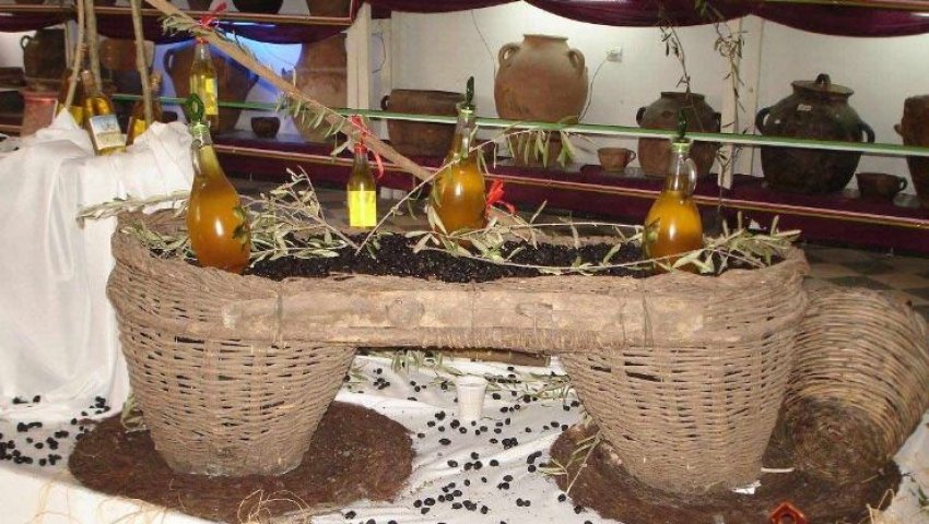 16 wilayas à la Fête de l'olivier de Maâtkas