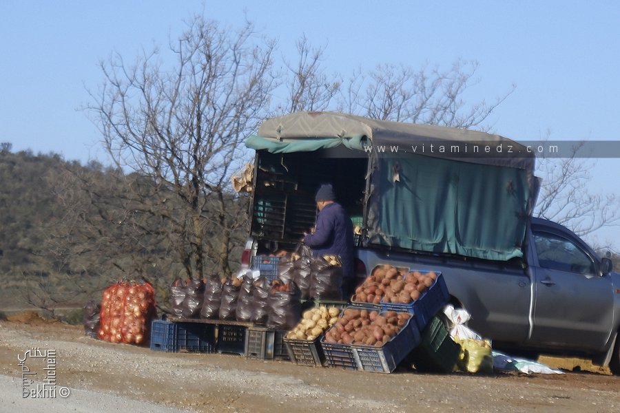 Différence entre pomme de terre rouge et blanche