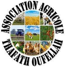 Tinebdar (Béjaia) -  L’Association Tafat n Ufellah se dote d’une coopérative agricole