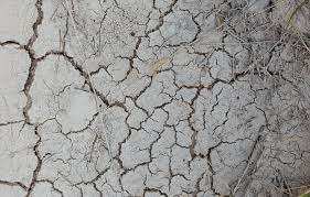 Planète (France/Europe) - Sécheresse: «Les prochains migrants, c’est nous», s’alarme une élue agricole dans le «désert» du Roussillon