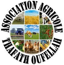 Tinebdar (Béjaia) -  L’Association Tafat n Ufellah se dote d’une coopérative agricole
