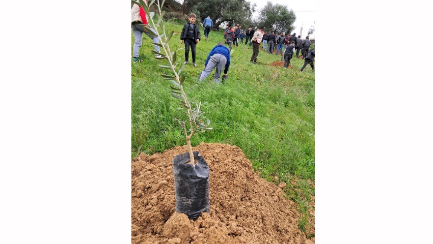 Elle a été une Réussite totale Maâtkas fête l'olivier