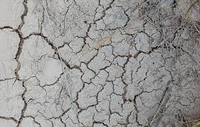 Planète (France/Europe) - Sécheresse: «Les prochains migrants, c’est nous», s’alarme une élue agricole dans le «désert» du Roussillon